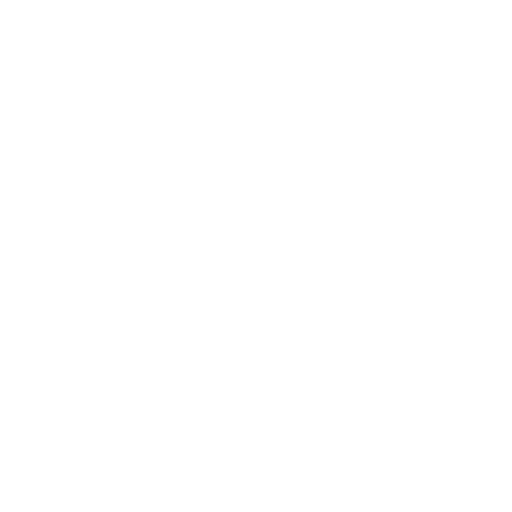 pneus.webp